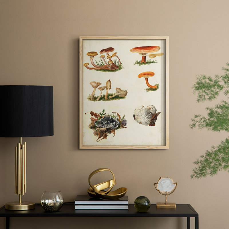 Reproduction encadrée «Mushroom Species X» - bois massif, H 30 po x l 24 po