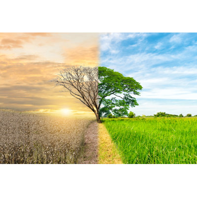 Ecology Concept by Sompong_tom - Wrapped Canvas Print