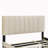 Arriah Velvet Upholstered Platform Bed with 2 Drawers and 1 Twin XL Trundle-1447584142