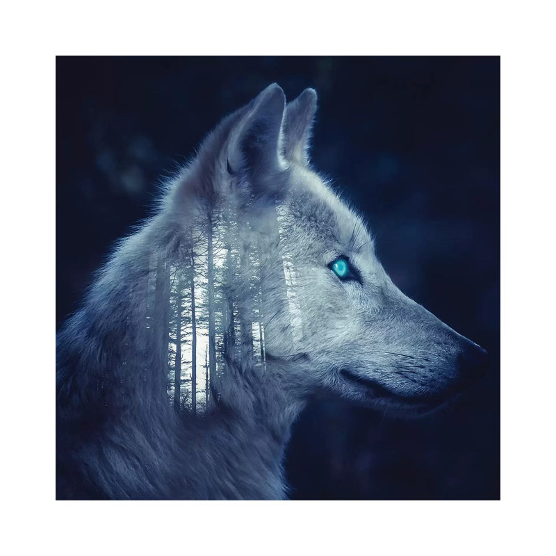 Wolfer by Paul Haag - Print on Canvas, Wrapped Canvas, 30.48 cm H x 30.48 cm W