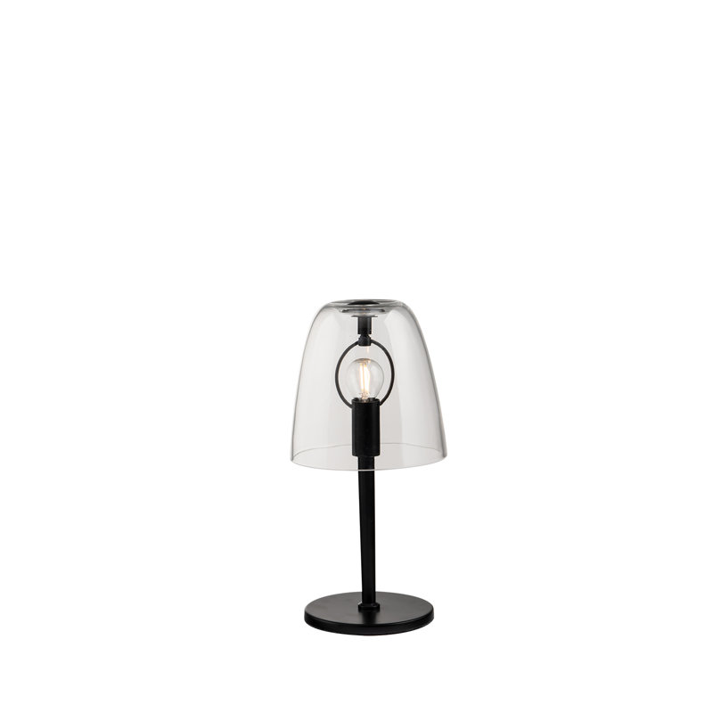 Camiesha Metal Table Lamp, Clear