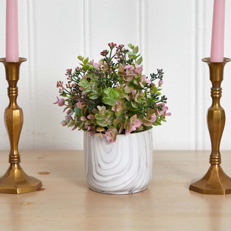 Eucalyptus plante en vase, Mauve