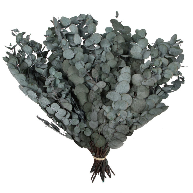 0.25'' Plant
