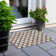  Colturo Area Rug