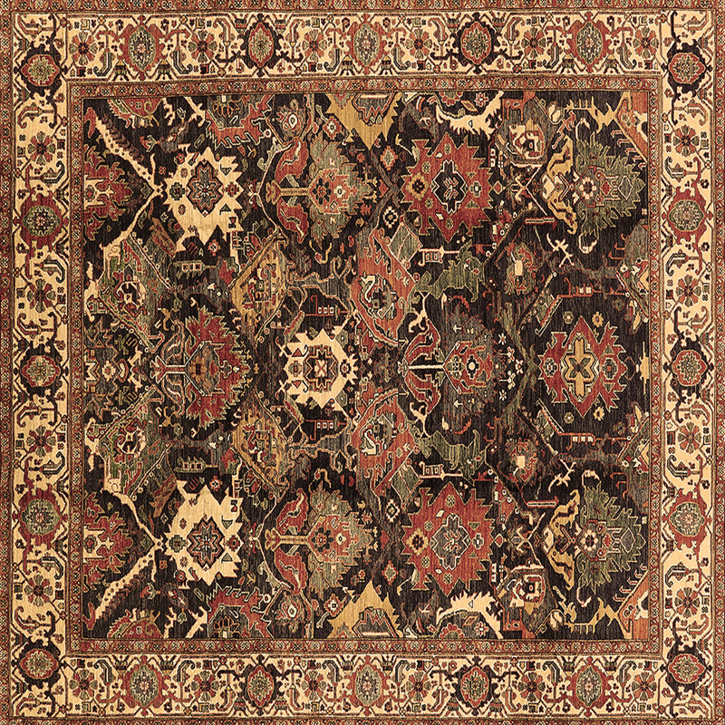 Hansraj Performance Oriental Indoor Rug, Square 5'