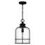 Luminaire suspendu de style lanterne à 1 lumière Aanijah