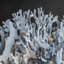 Genuine Blue Ridge Coral (18", 39.5 Lbs)