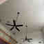 Customer photo 2 of 2