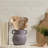 Handle-Equipped Kitchen Utensil Rack