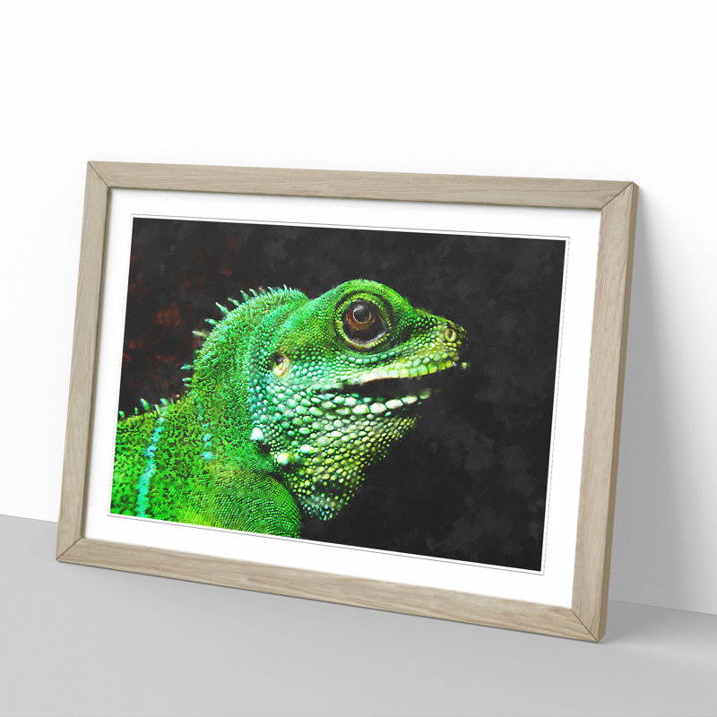 Iguana Lizard - Picture Frame Graphic Art, 27cm H x 36cm W x 2cm D, Oak Framed