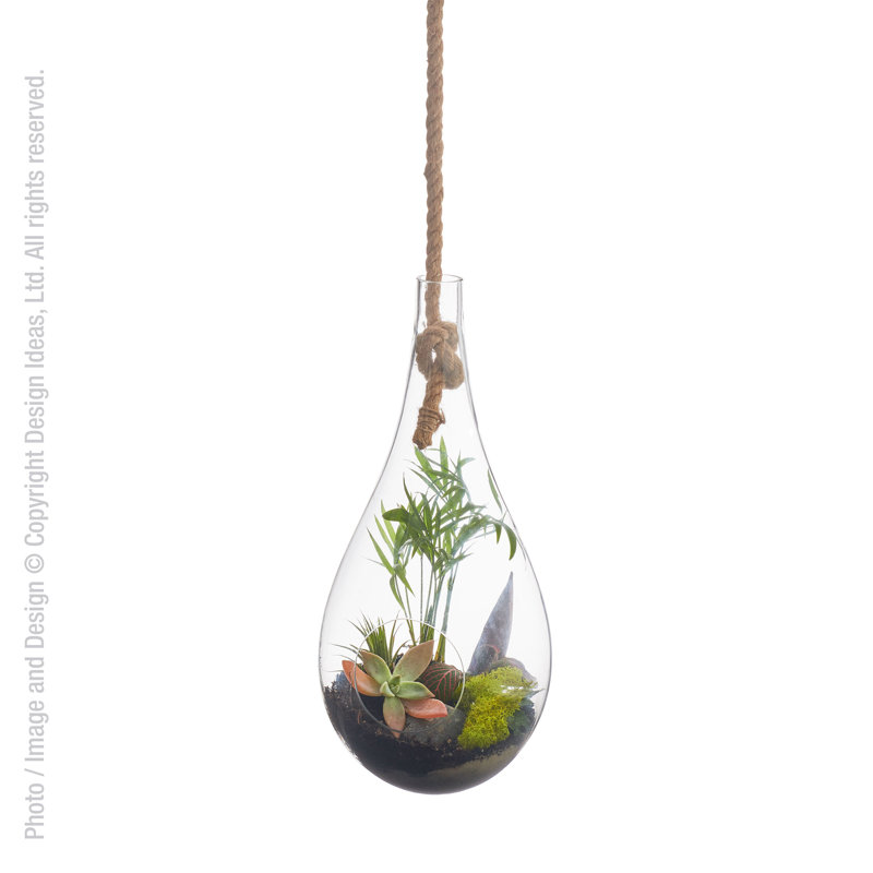 Terrarium en verre Boboli