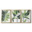 «Expressive Palm I», ensemble de 3 impressions sur toile encadrées-755538919-755538712