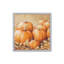 «Pumpkin Patch» par Dogwood-534503816-534503825-534503830