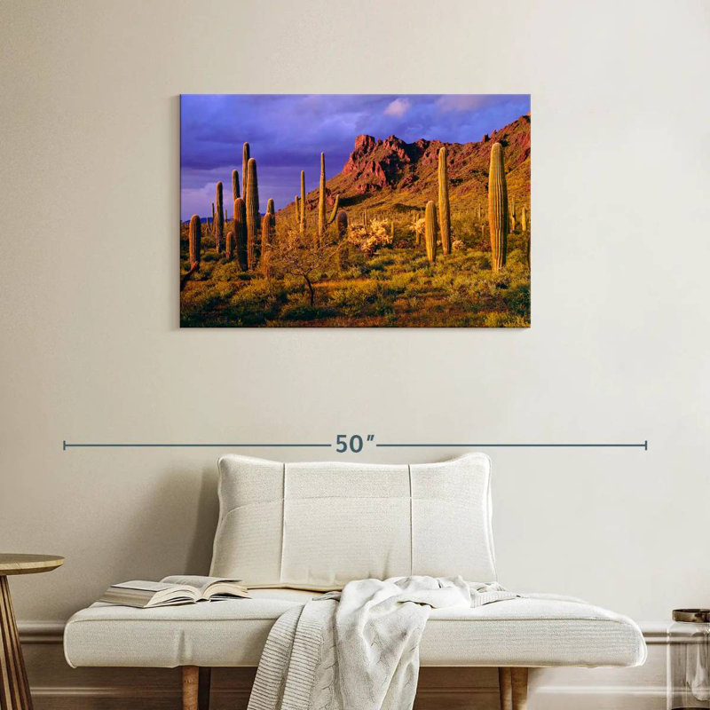 Harnek Arizona Cactus Plants, H 24 po x l 36 po