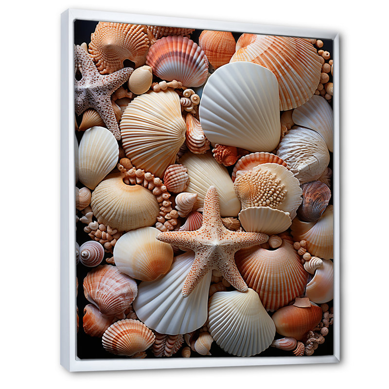 «Classic Seashells By The Sea», reproduction sur toile, Cadre flottant blanc, 32" H x 24" W