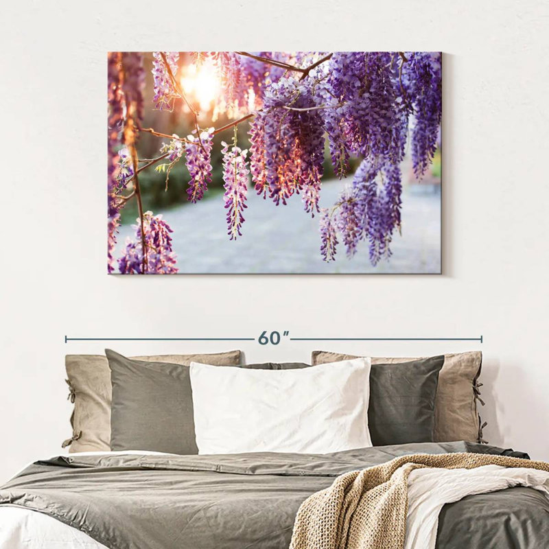 Harnek Wisteria Vine, H 32 po x l 48 po