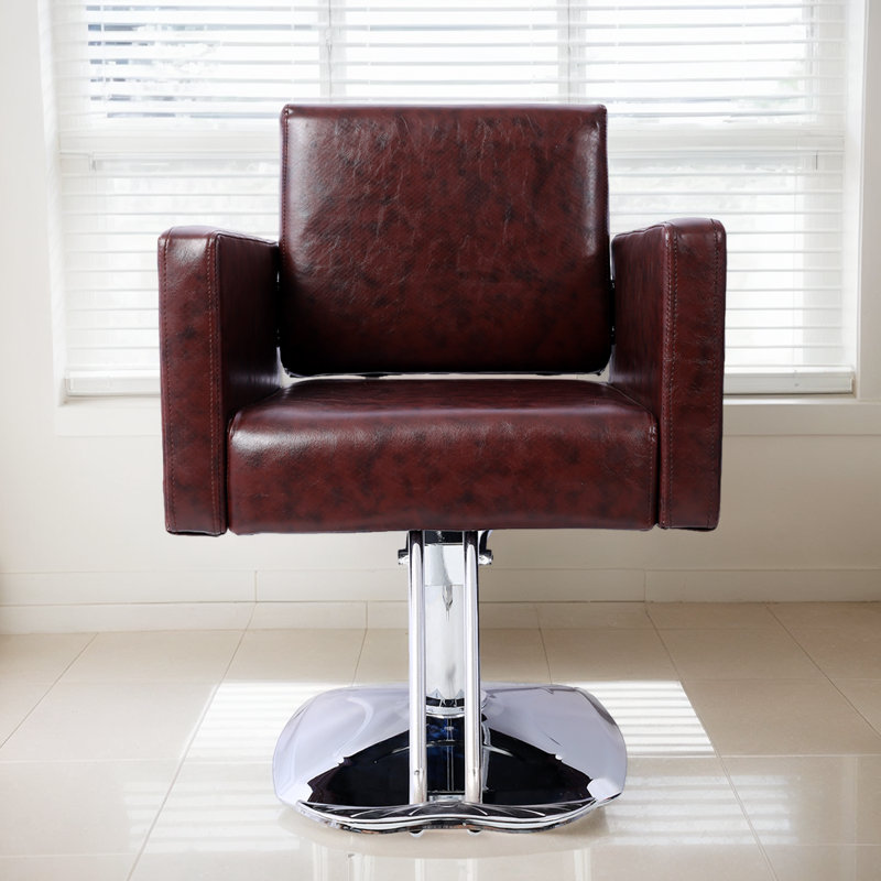 Fauteuil de coiffeur Professional Professional