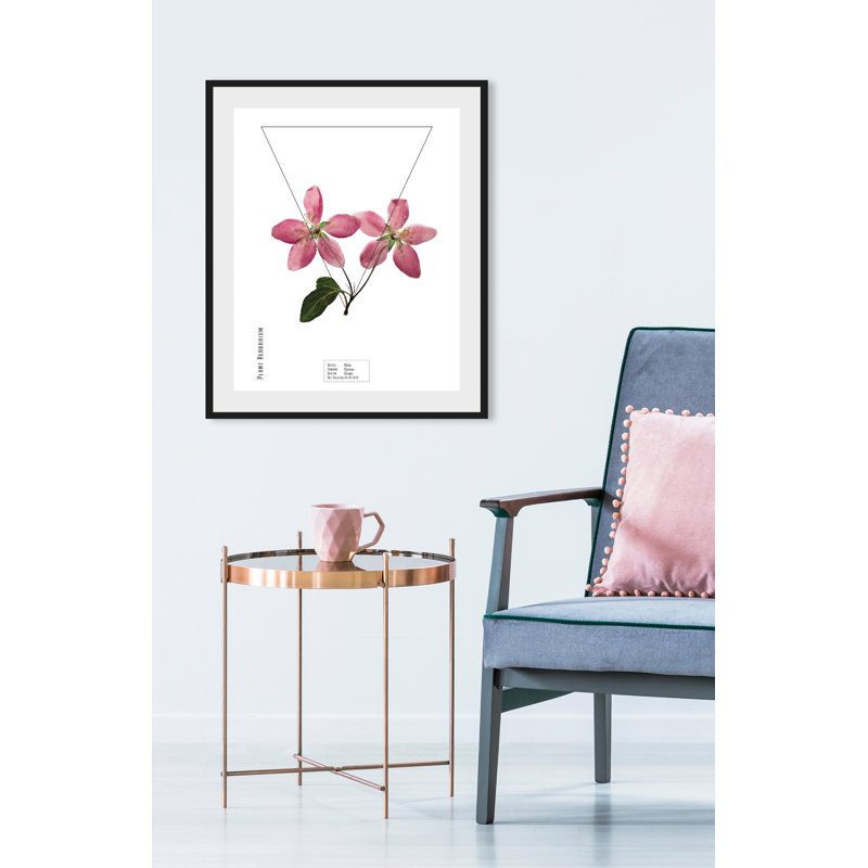 Plant - Single Picture Frame Print