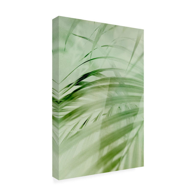 Art sur toile «Rouleau Incado sauge palmier», H 19 po x l 12 po