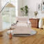 36.14'' Wide Modern Convertible Sleeper Chair Bed With Phone Holder And Cup Holders-1763723683