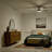 Starkk 52'' Ceiling Fan with LED Lights-1081777954
