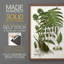 Impression encadrée Fern I-Premium - prête à être accrochée - aucun clou requis - aucun clou requis-107997874-107997878