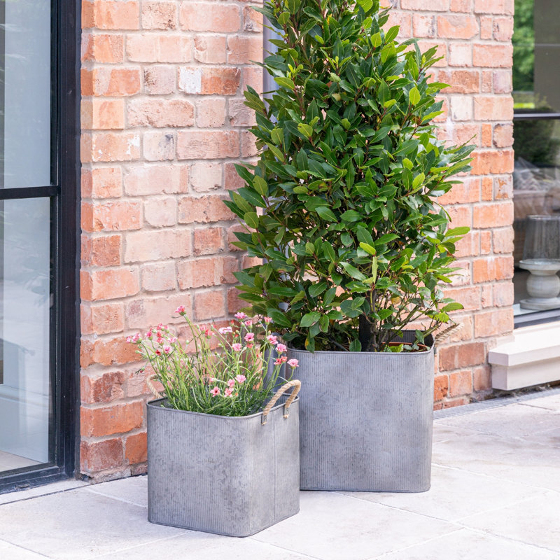 Metal Pot Planter