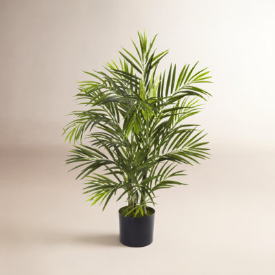 Sommer 78" Areca Palm Tree in Pot