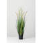 Faux Dogtail Grass in Pot-678879176