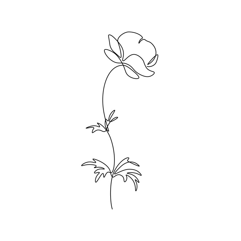 Trollius Flower - Wrapped Canvas Print, 122cm H x 81cm W x 3.8cm D