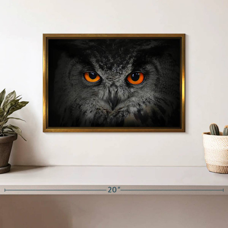 Hibou gris envoûtant, Cadre flottant doré, 13 po x 9 po