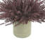 Faux Astilbe Plant in Fiberstone Vase