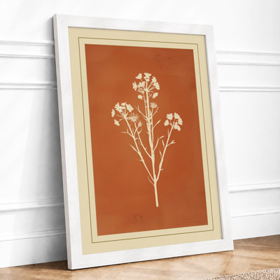 Herbarium Study Botanical - Framed Print