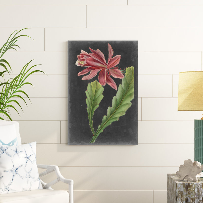 Dramatic Tropicals I, H 36 po x l 24 po x P 1,25 po