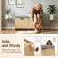 12 Pair Shoe Storage Bench