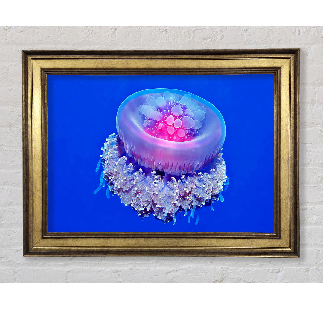 Jellyfish Pink - Bilderrahmen Kunstdrucke