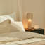 Deiniol 39cm Metal Table Lamp-976438639