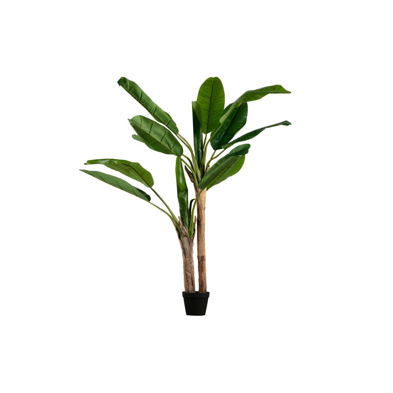 Faux Banana Leaf Plant in Plastic Pot, 138cm H x 97cm W x 95cm D