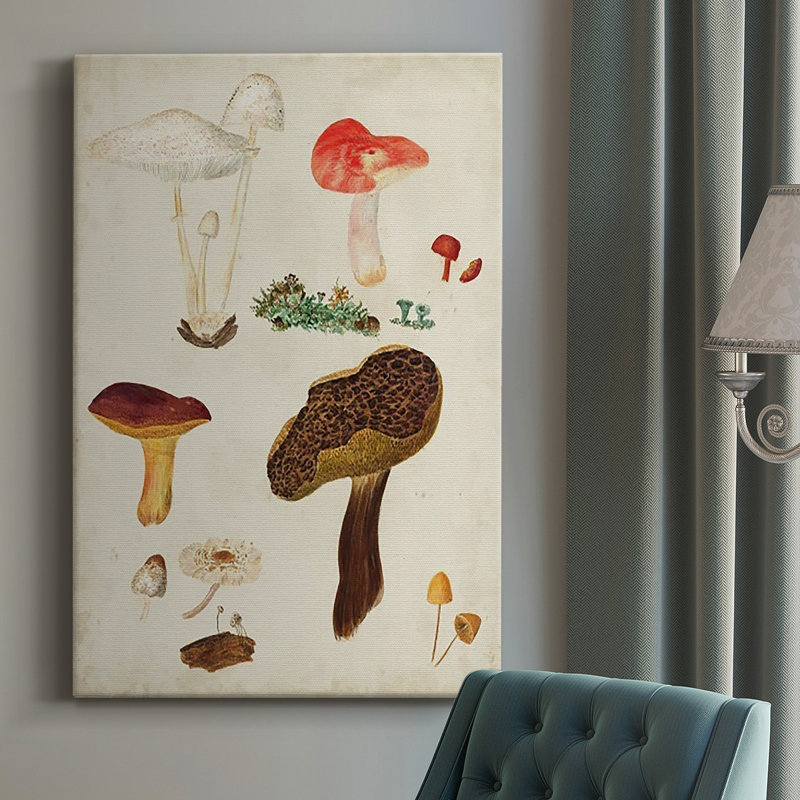Champignon sur toile, reproduction sur toile, H 60 po x l 40 po x P 1 po