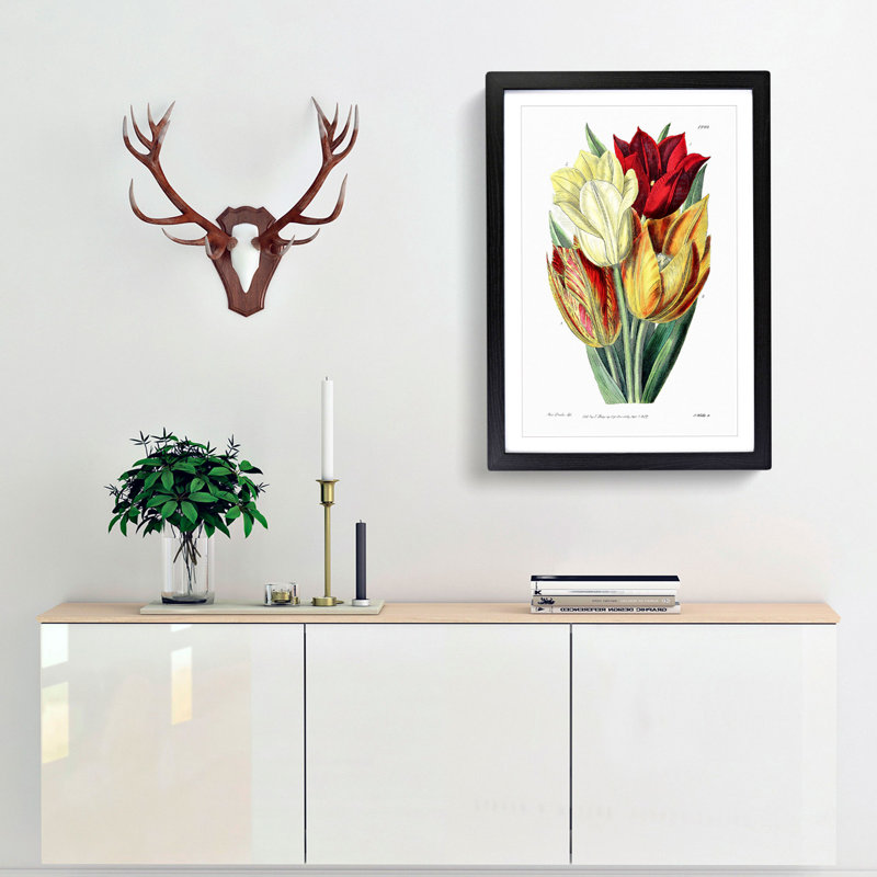 Rough-Stemmed Tulips - Picture Frame Graphic Art Print, Black, 76cm H x 50cm W x 2cm D