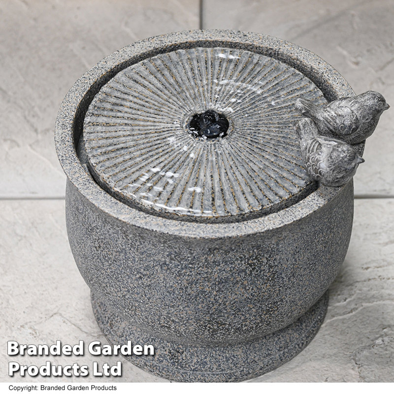 Darvone Weather Resistant Birdbath Fountain