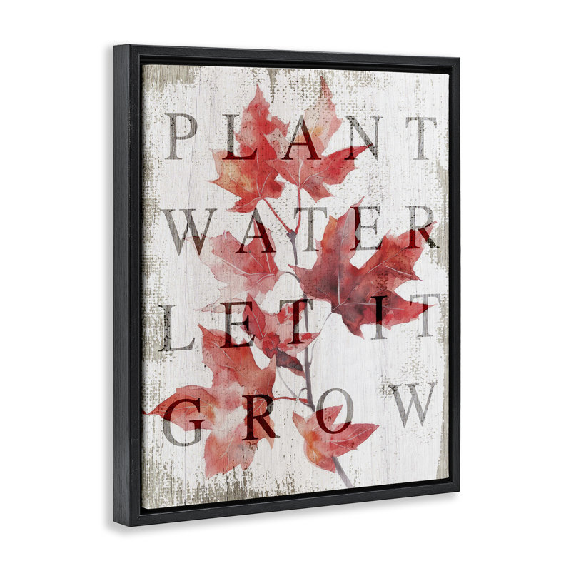 Cadre flottant Plant Water Let It Grow, design par Lil 'Rue, Cadre flottant noir de jais, H 21 po x l 17 po
