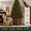 Arbre surélevé en bois 24 po H-119318890