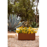 Corten Steel Series Long Box Planter