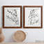 Sprig Contour I - ensemble de 2 reproductions d'art sur papier encadré-285995244-285995247