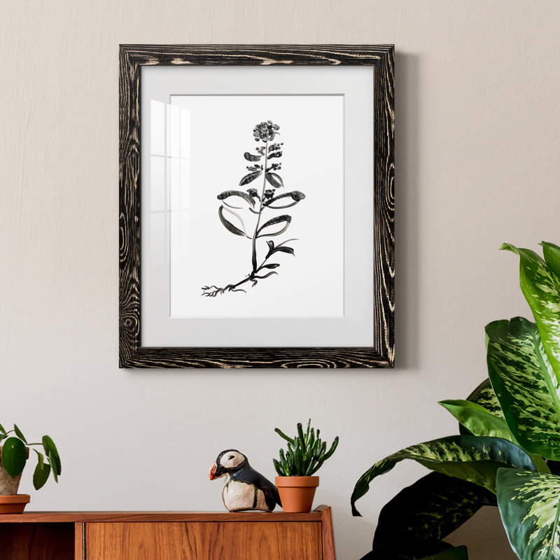 Inky Botanical III - peinture encadrée, Cadre noir, H 20 po x l 17 po x P 1,5 po