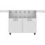 Aspire 66.25" Double Door Cart