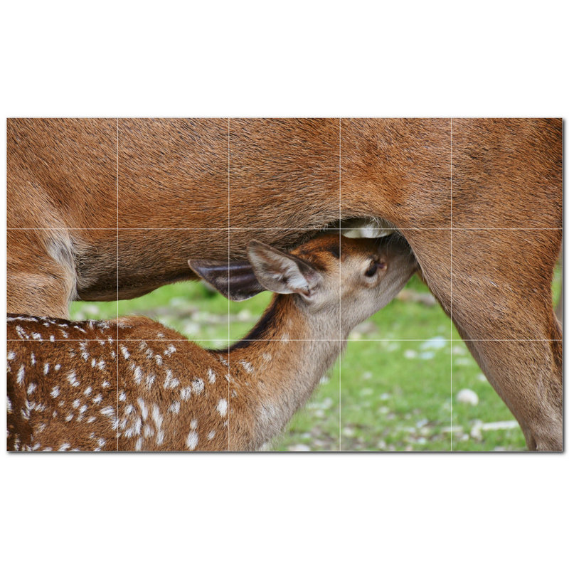 Murale décorative cerf en céramique 6 po x 6 po Deer Photo