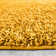 Adavia Shaggy Gold  Rug