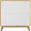 Rufous Shoe Storage Cabinet-1521138358